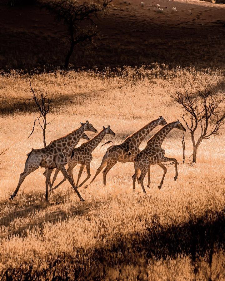 Bagatelle Kalahari Game Ranch Villa Hardap Екстериор снимка