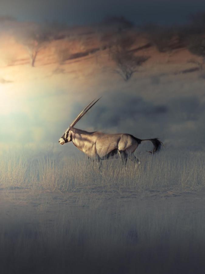 Bagatelle Kalahari Game Ranch Villa Hardap Екстериор снимка