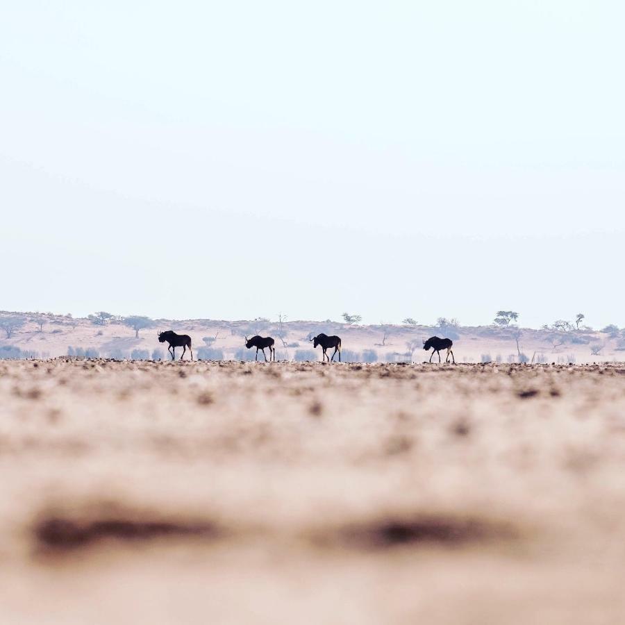 Bagatelle Kalahari Game Ranch Villa Hardap Екстериор снимка