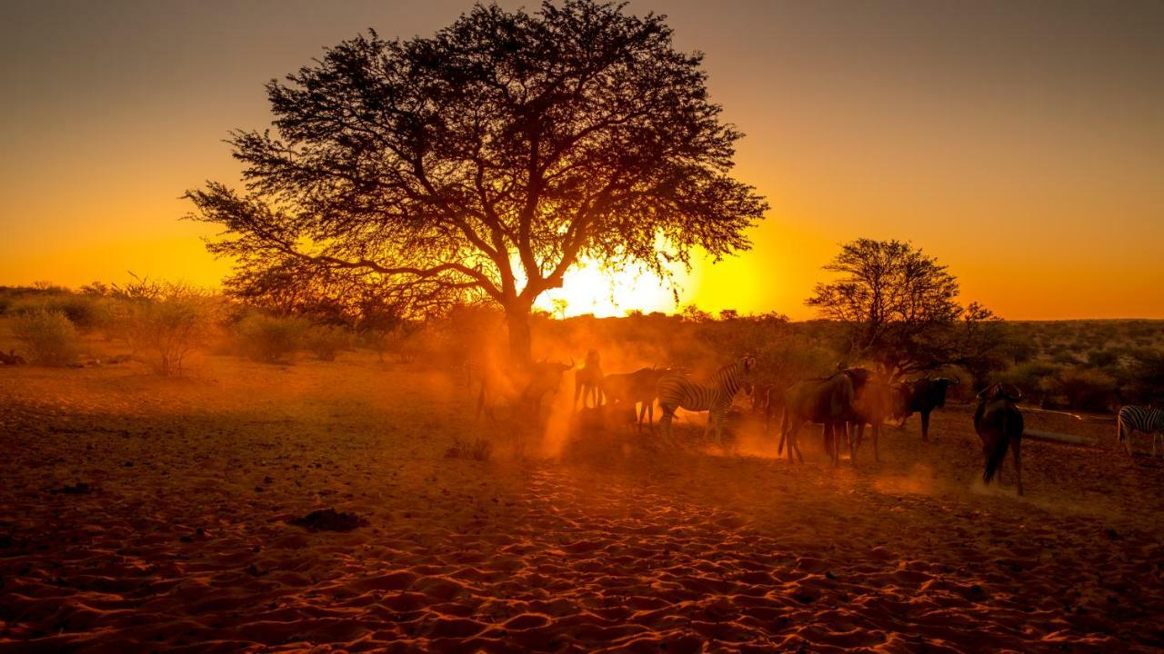 Bagatelle Kalahari Game Ranch Villa Hardap Екстериор снимка