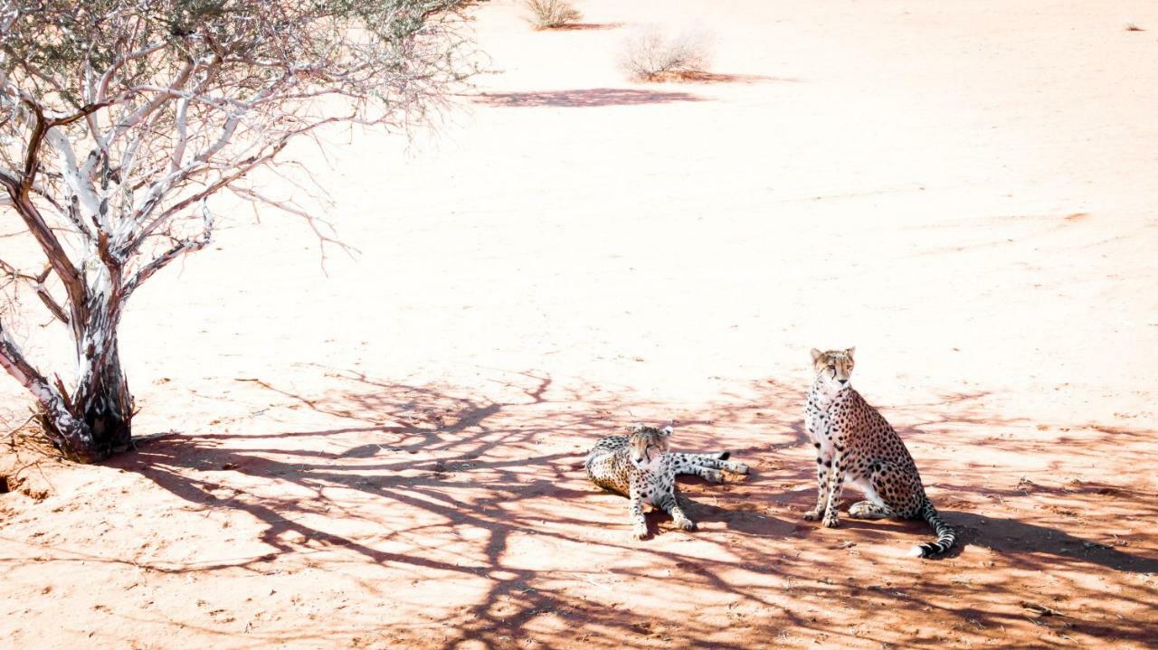 Bagatelle Kalahari Game Ranch Villa Hardap Екстериор снимка